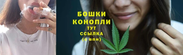 молекула духа Беломорск