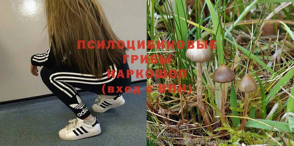 прущие крисы Белоозёрский