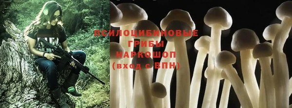 молекула духа Беломорск