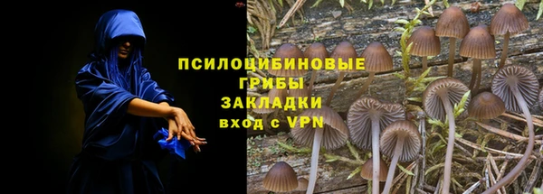 молекула духа Беломорск