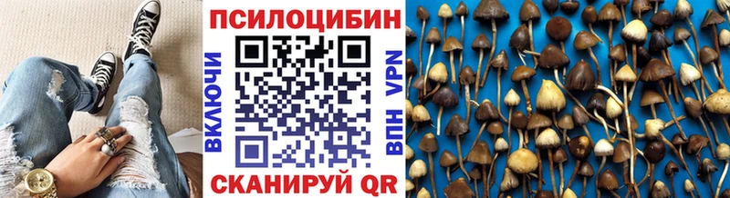 где можно купить наркотик Острогожск кракен как зайти Галлюциногенные грибы Cubensis