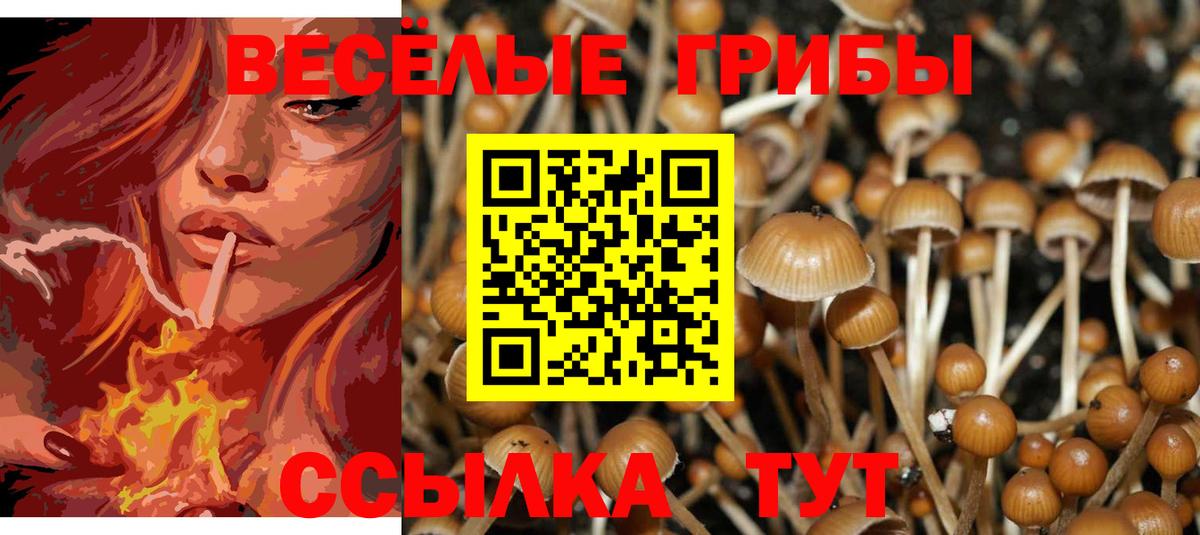 Псилоцибиновые грибы Magic Shrooms  Псилоцибиновые грибы GOLDEN TEACHER  Острогожск  Вход с VPN 